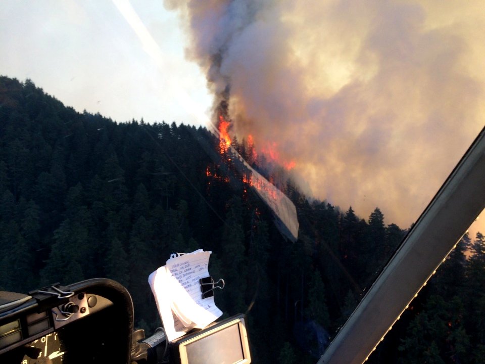 Fire grew to 50 acres fast.