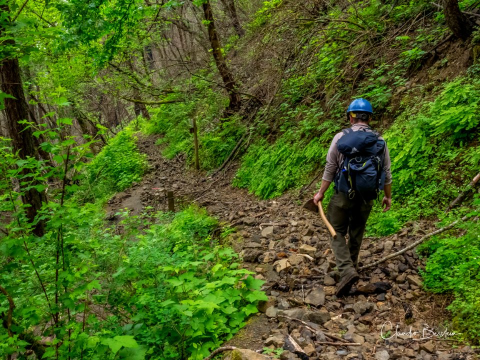 Rocky Larch Mountain Trail. Photo courtesy of Trailkeepers of Oregon.
