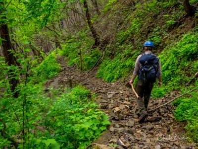 Rocky Larch Mountain Trail. Photo courtesy of Trailkeepers of Oregon.