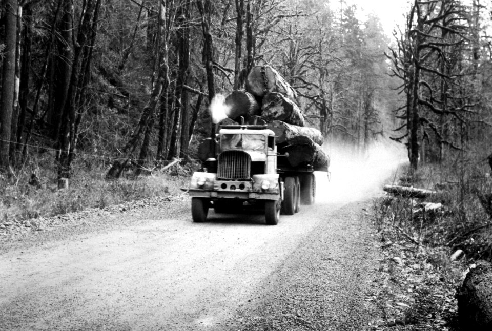 253 log truck