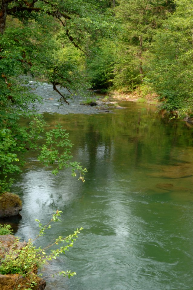 View of Jackson Creek-Umpqua