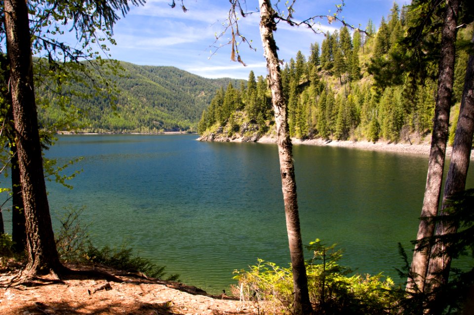 Sullivan Lake, Colville National Forest