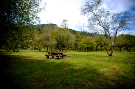 Picnic Table at St Cloud Day Use Area-Columbia River Gorge photo