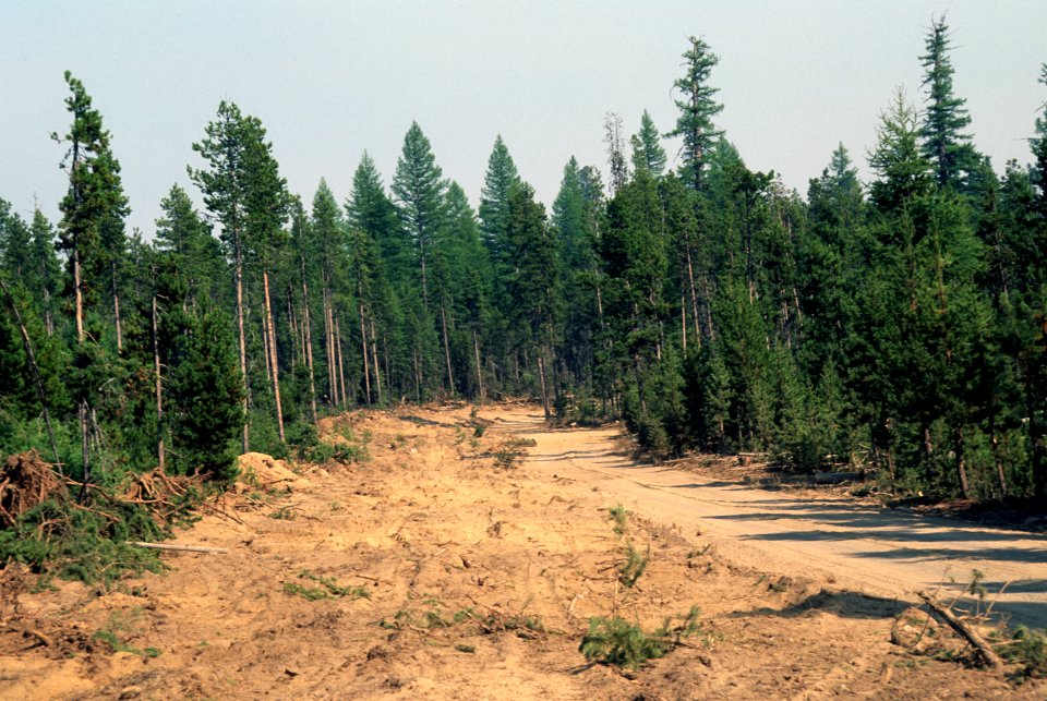 158 Ochoco National Forest Hash Rock Fire