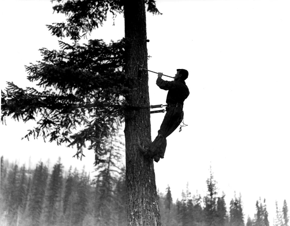 340391 CCC Camp Growden, Colville NF, WA 1936