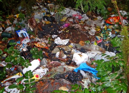 Trash on Forest Floor near Cougar Reservoir, Willamette National Forest