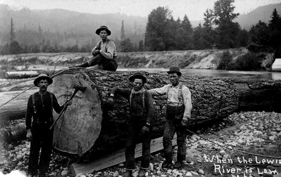 No. 66 When the Lewis River is Low, WA