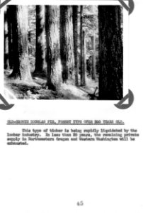 Old-Growth Forest over 300 Years Old