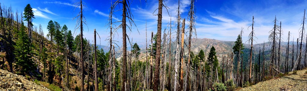 Kalmiopsis Panoramic, Rogue River Siskiyou National Forest photo