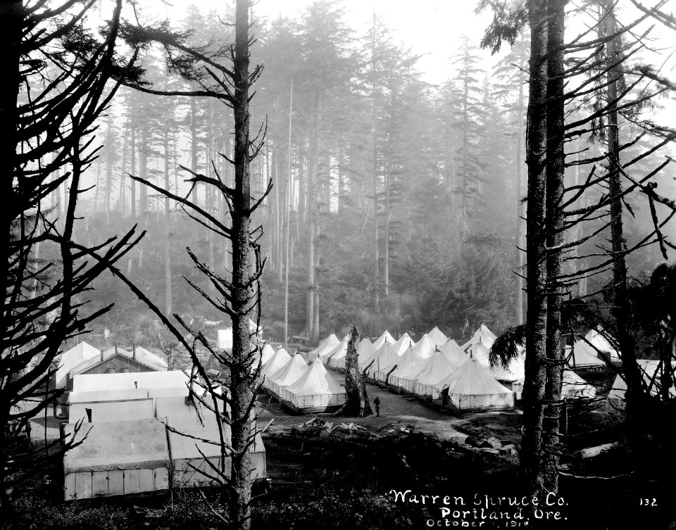 132 Looking Down at Camp 7-H, Molock Creek