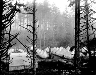 132 Looking Down at Camp 7-H, Molock Creek