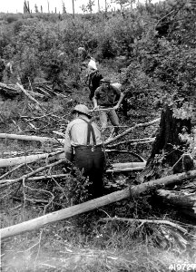 419727 Conscientious Objectors Crew, Mt Hood NF, OR 1942