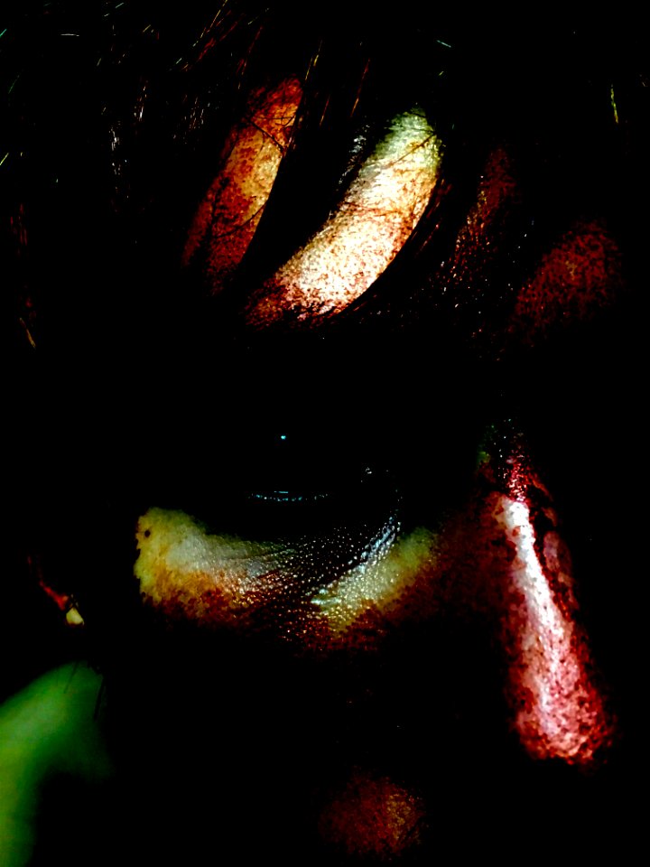 Bloody Victim Face VS. Bloody Demon Face