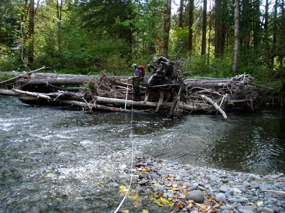 Upper Middle Fork Restoration-Researcher Conducting Stream Survey, Willamette National Forest
