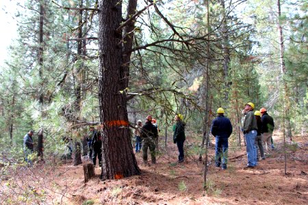 Greater La Pine Basin Cohesive Strategy Project