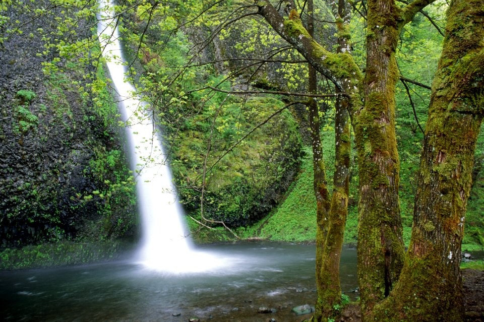 Columbia River Gorge NSA, Horsetail Falls.jpg
