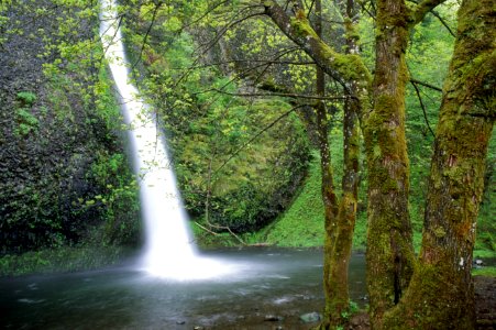 Columbia River Gorge NSA, Horsetail Falls.jpg