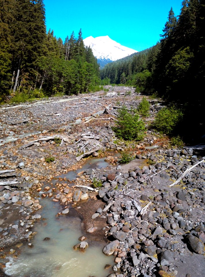 Boulder Creek flows from the snowy flanks of Mt. Baker, Mt. Baker-Snoqualmie National Forest