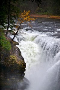 LOWER LEWIS RIVER FALLS-GIFFORD PINCHOT