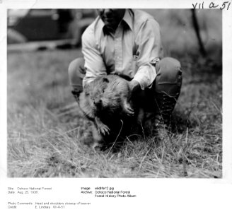 wildlife12