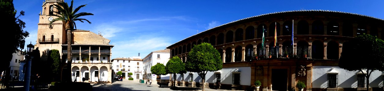 Ronda novembre 2017