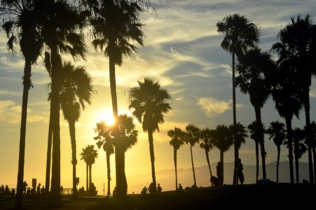 Venice Beach, Los Angeles photo