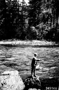 34514A Fishing on Nachez River, Rainier NF, WA