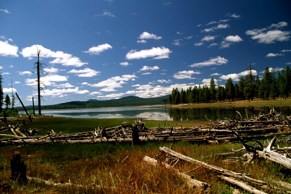 Fremont Winema National Forest, Thompson Reservoir