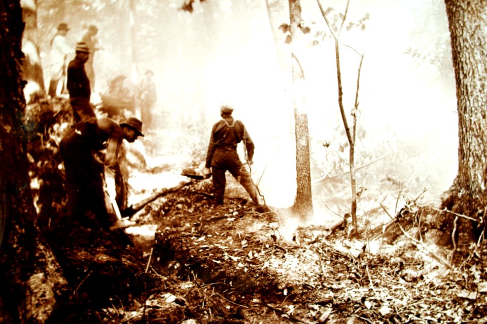 Fighting a Forest Fire AZ c1900