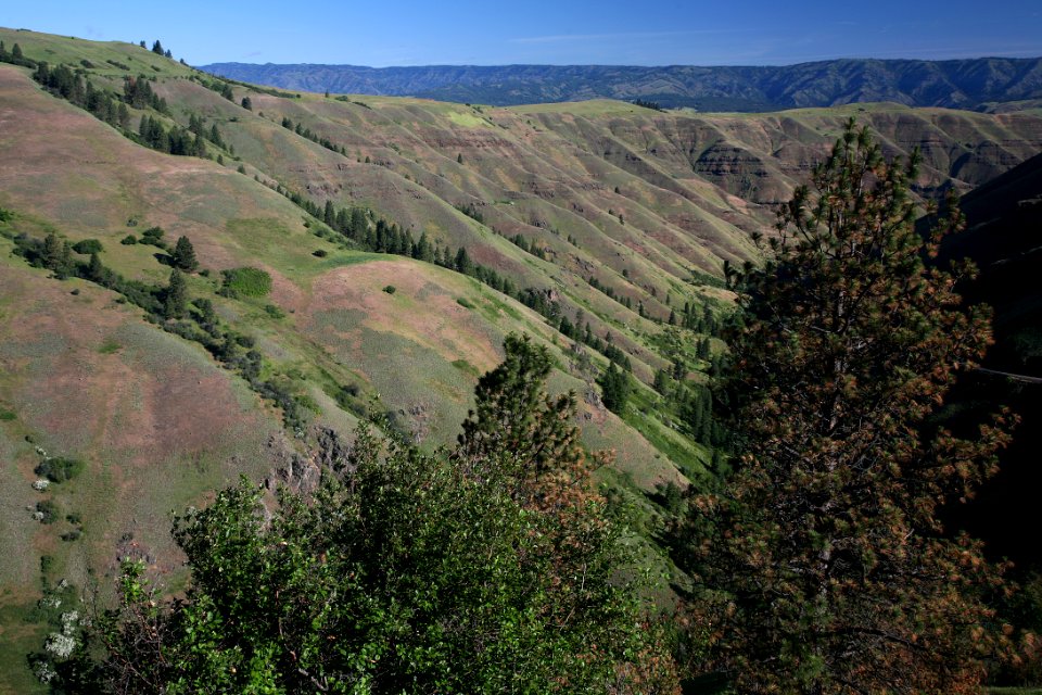 Grande Ronde River, Umatilla National Forest