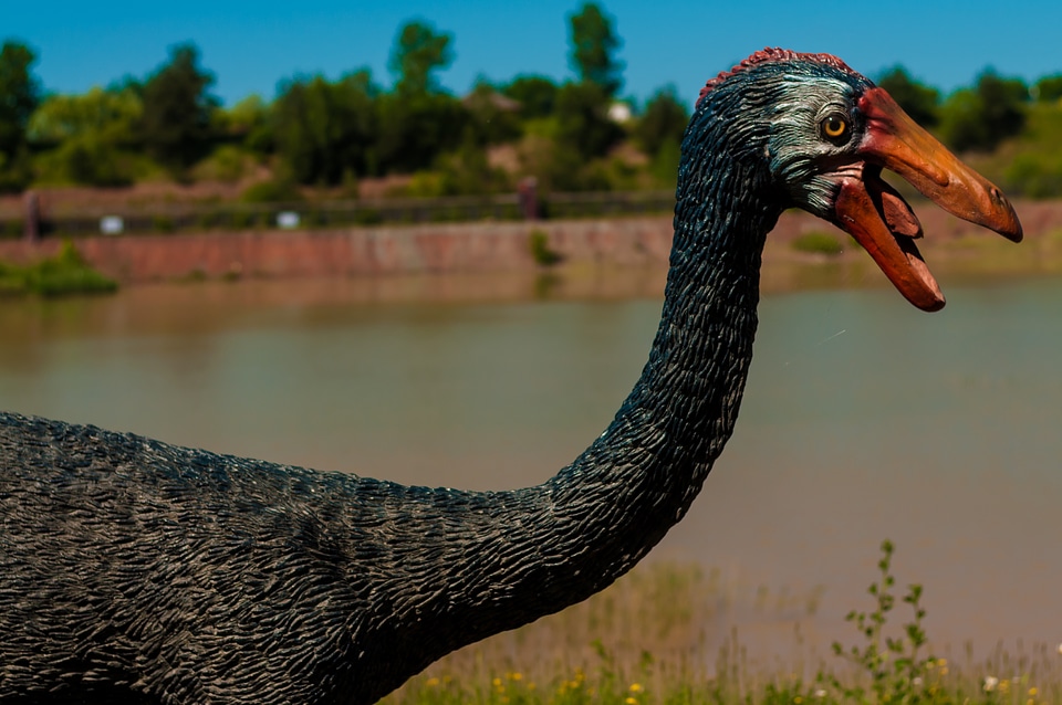 Dino extinct model