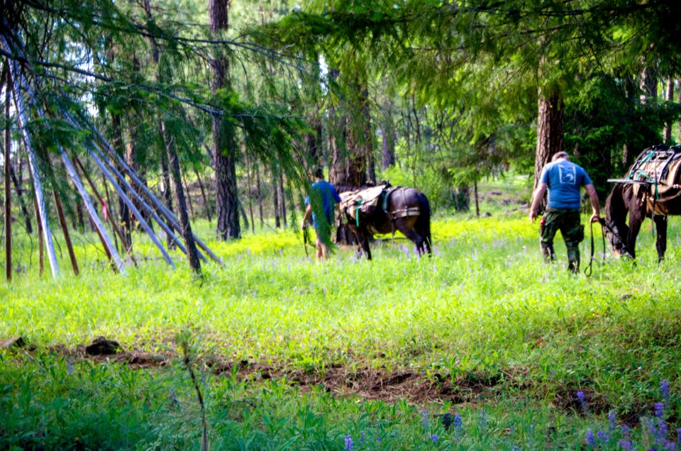 Wilderness Stewardship Skills Training at Mt Adams Ranger District-186