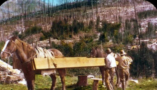 231941 Packing Lumber for LOH, Colville NF photo