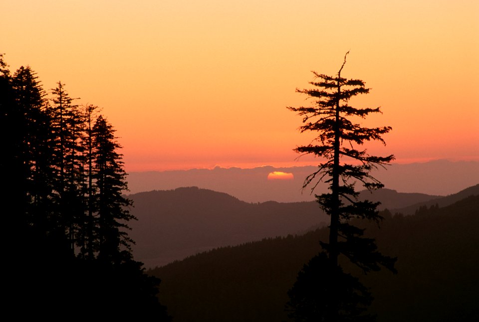 Sunset, Rogue River-Siskiyou National Forest.jpg