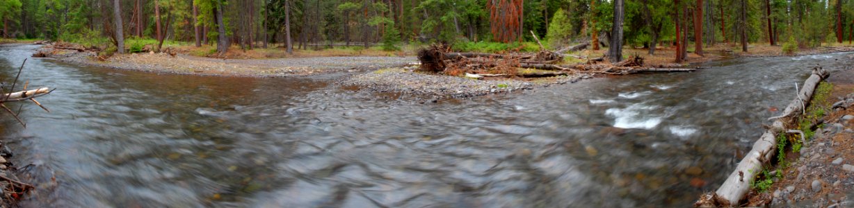 Deschutes National Forest, Whychus Creek panorama 14ABCD after.jpg photo