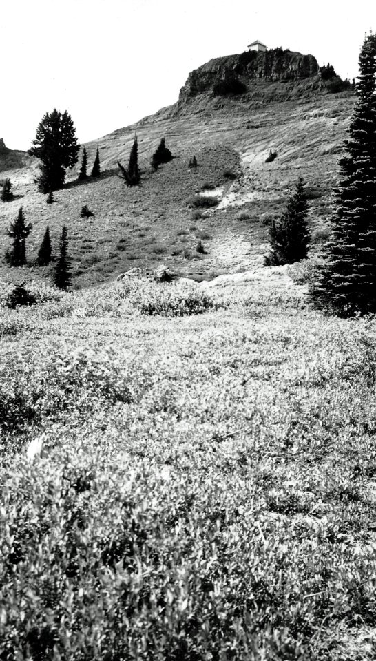 Cispus Lookout House, Columbia National Forest, WA 1944