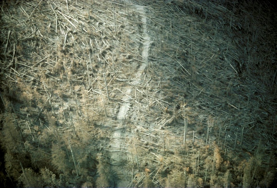 035ash covered road resize
