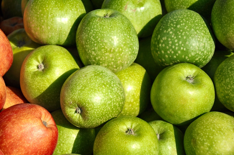 Apple fruit food