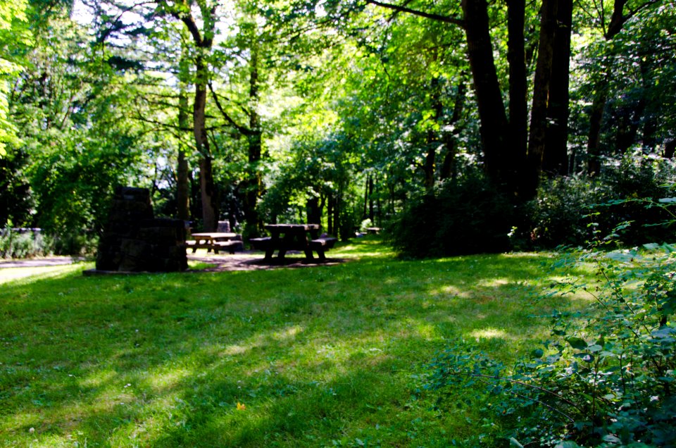 Picnic Tables at Wahkeena Falls 1-Columbia River Gorge photo