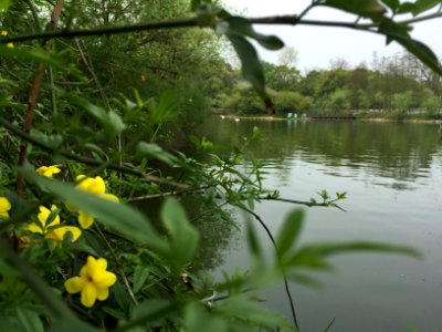 鄱陽湖濕地公園～江西省China