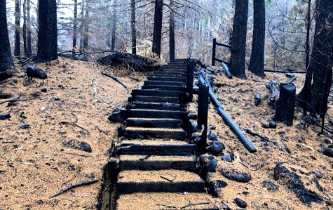 Fire damage rec site UpperArmStairs