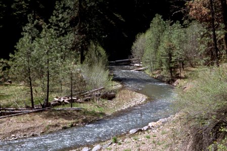 Ochoco National Forest, Mill Creek stream restoration-4.jpg photo
