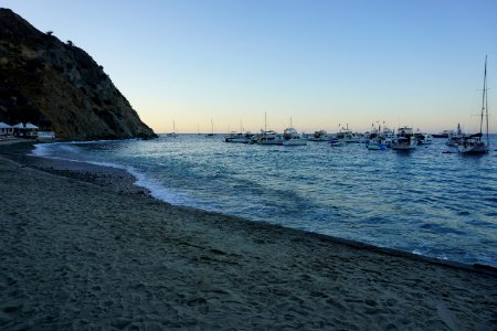 Catalina Island, CA (Unedited) photo