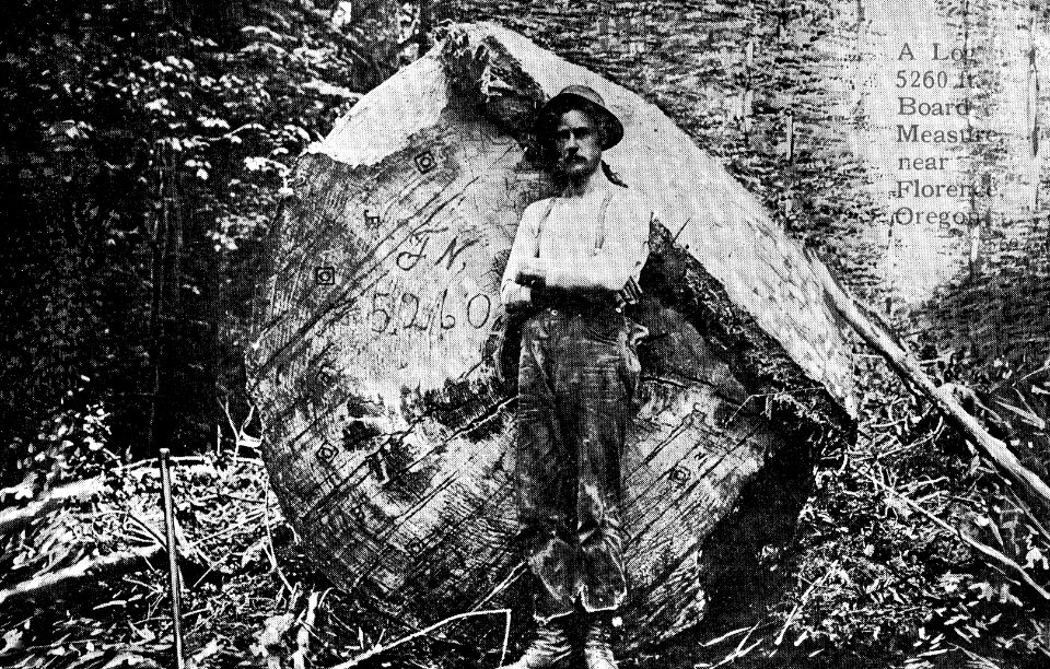 Log 5260 ft. Board Measure near Florence, Oregon