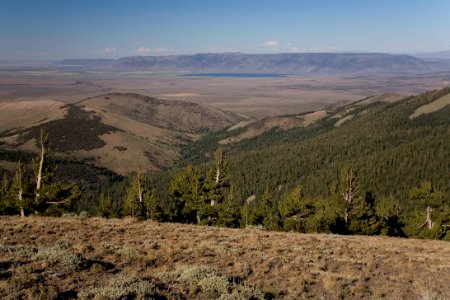 View from Drake Peak-Fremont Winema
