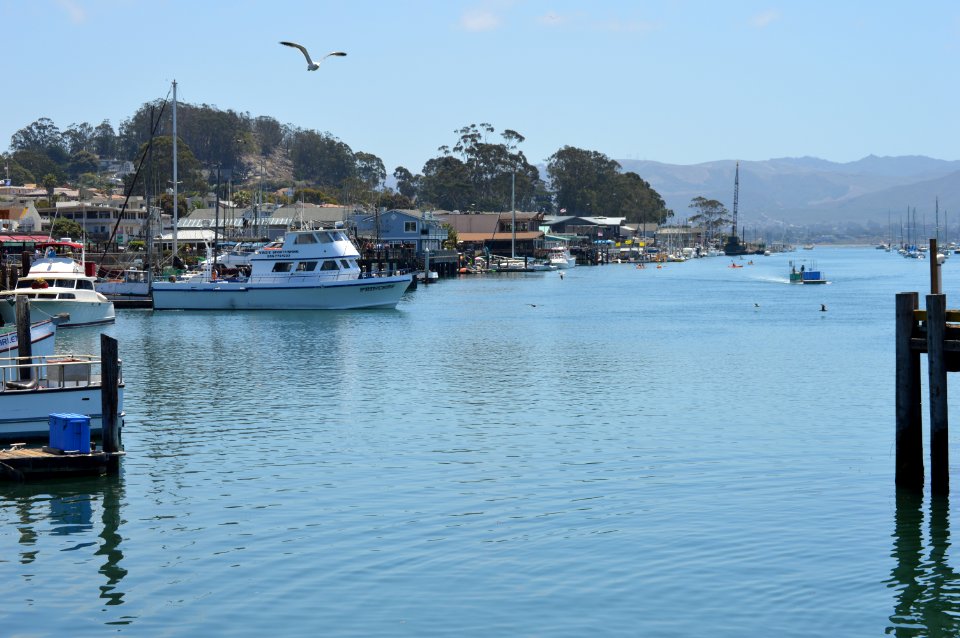 Morro Bay, CA (Unedited) photo