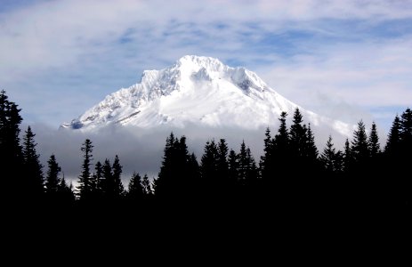 Mount Hood from Mirror Lake on the Mt. Hood National Forest photo