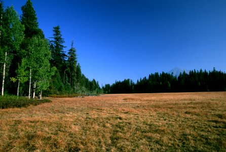 Forest and Grassland Prairie, Rogue River-Siskiyou National Forest.jpg