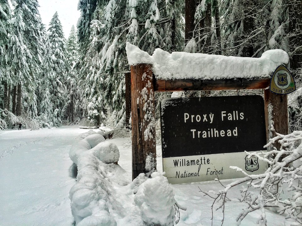 Proxy Falls Trailhead in Winter, Willamette National Forest
