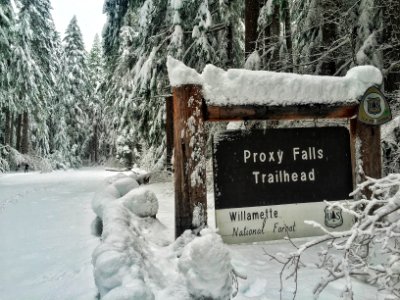 Proxy Falls Trailhead in Winter, Willamette National Forest photo